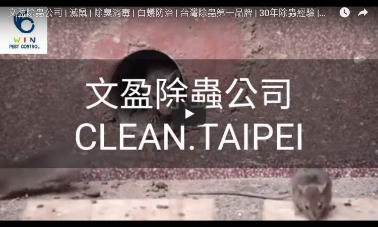 天兵除蟲公司 | 滅鼠 | 除臭消毒 | 白蟻防治 | 台灣除蟲第一品牌 | 30年除蟲經驗 | 除白蟻 | 聯絡電話 : 0955-684-274 除跳蚤 跳蚤防治  www.tbb-pco.com