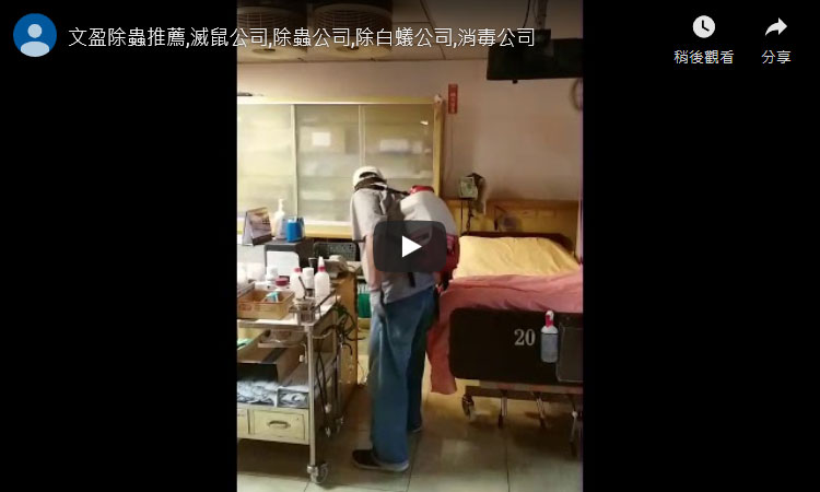天兵除蟲推薦,滅鼠公司,除蟲公司,除白蟻公司,消毒公司