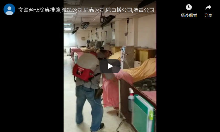 天兵台北除蟲推薦,滅鼠公司,除蟲公司,除白蟻公司,消毒公司